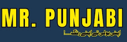 Mr. Punjabi (Official)