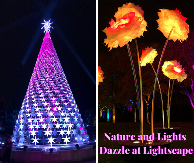 Marveling as Nature, Lights and Sound Blend During Lightscape at Chicago Botanic Garden