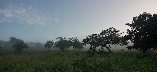 O amanhecer de hoje em Bom Conselho