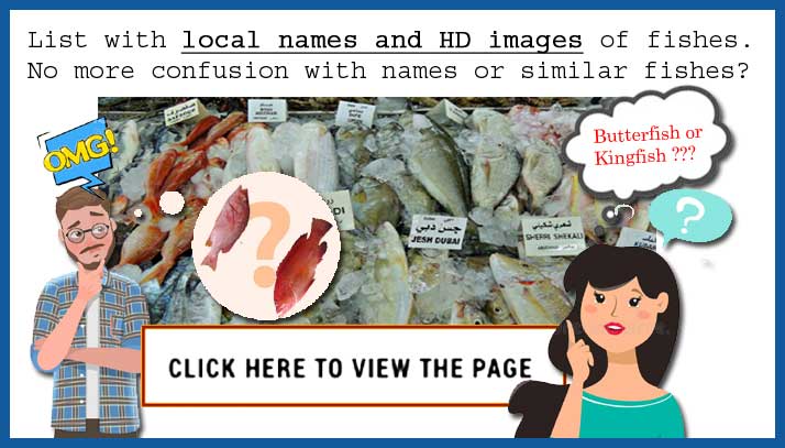 100 Most Popular Common Fish Names in English with pictures - Sea fish , Freshwater fish - Seafood - Confused over Fish names? 