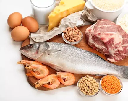 Amino acid definition, role, food, essential, what is it