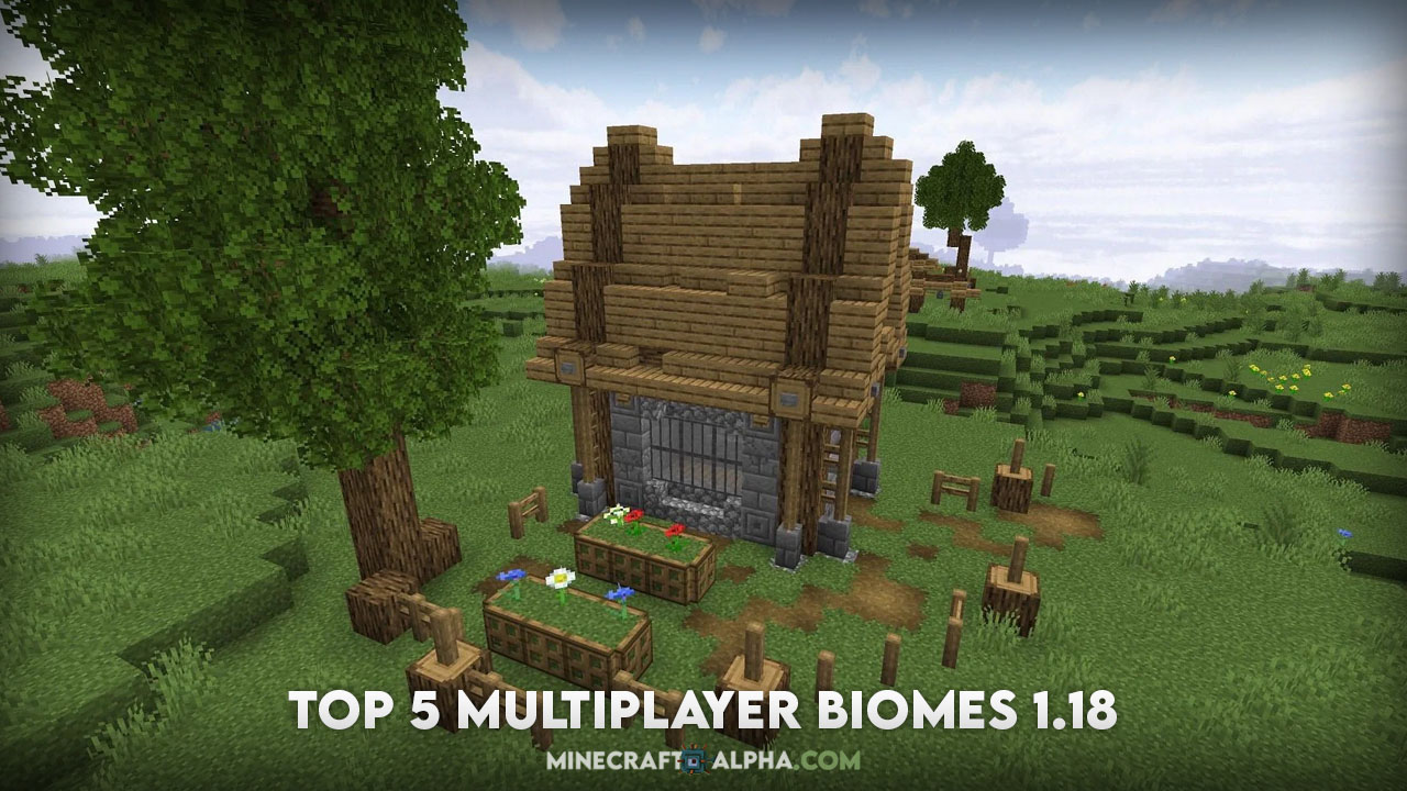 Minecraft 1.18's Top 5 Multiplayer Biomes (2021)