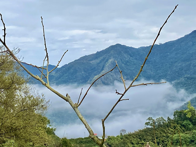 洗水山北峰下山途中