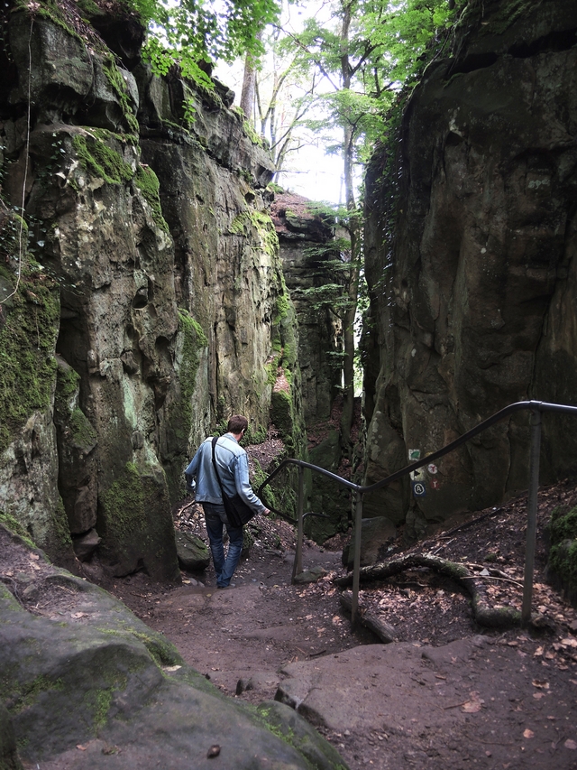 Trier: wandelen door de duivelskloof nabij Echternach