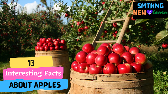 facts about apples