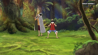 ワンピースアニメ WCI編 869話 ルフィ レイリー 修行 ルスカイナ 見聞色の覇気 Luffy Rayleigh observation hakiルフィ レイリー 修行 見聞色の覇気 Luffy Rayleigh observation haki | ONE PIECE ホールケーキアイランド編