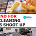 pest control services