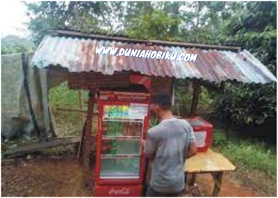 Warung kejujuran gunung api purba