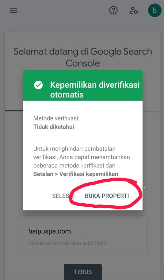 google search console terverifikasi