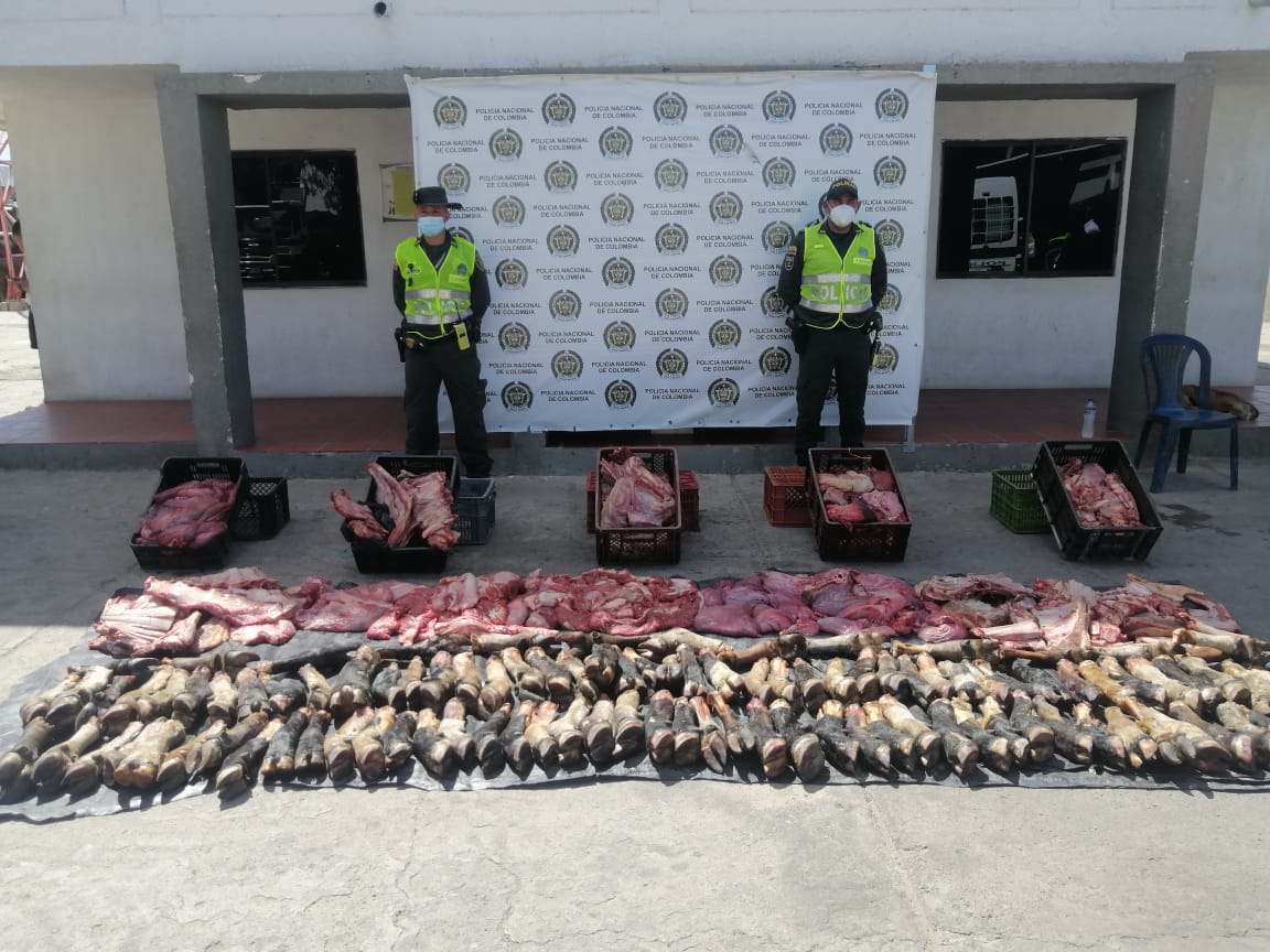 https://www.notasrosas.com/Trescientos 90 kilos de carne de res, decomisa Policía Guajira, en Maicao