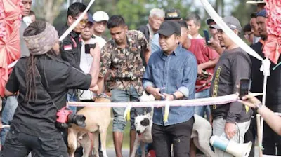 Wawako Solok Buka Secara Resmi Alek Nagari Buru Babi