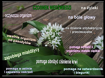 Foto na dziś;)