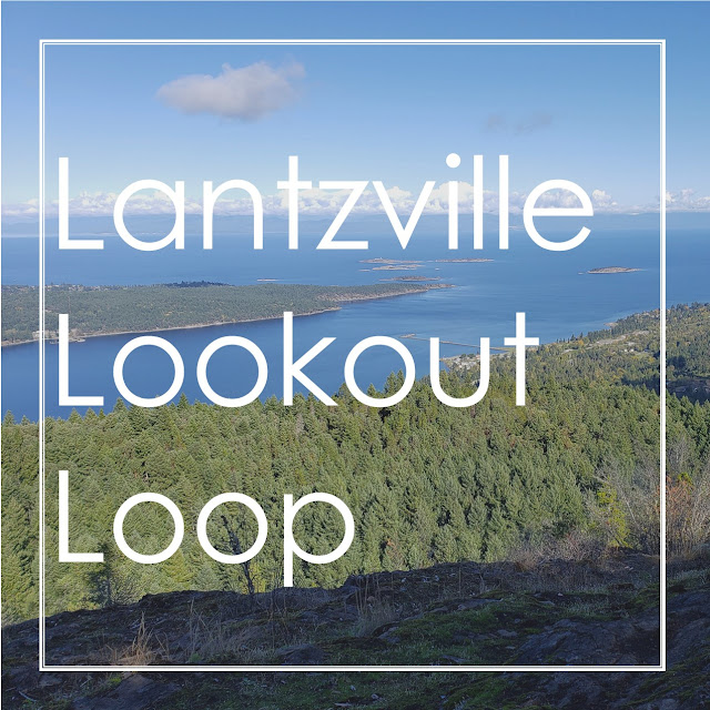 Title:  Lantzville Lookout Loop, photo of view from lookout