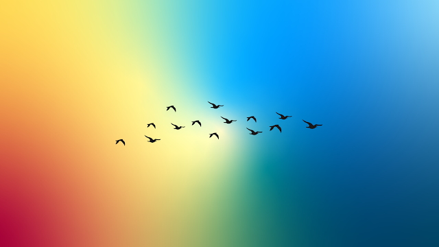 birds flying in gradient background wallpaper clean and minimalist for desktop, laptop, macbook 4k