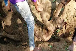 युवक की हत्या के बाद नदी किनारे दफनाया शव, जांच में जुटी पुलिस, संदिग्धों से कर रही पूछताछ