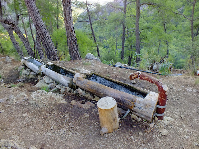 Родник на стоянке