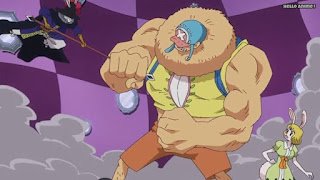 ワンピースアニメ WCI編 810話 チョッパー チョニキ Chopper キャロット CARROT | ONE PIECE Episode 810