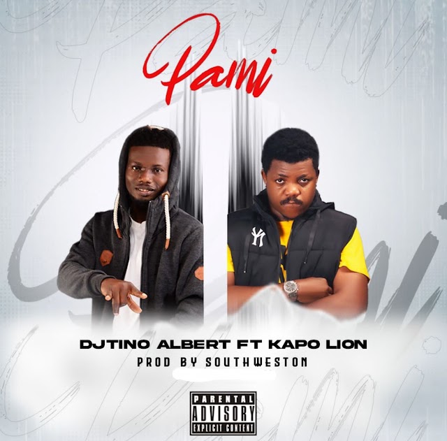 DJ TINO FT KAPO LION - PAMI