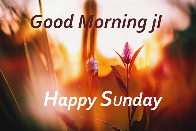 Good Morning Ji Happy  Sunday