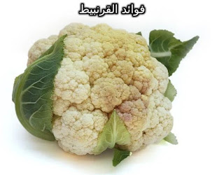 قرنبيط