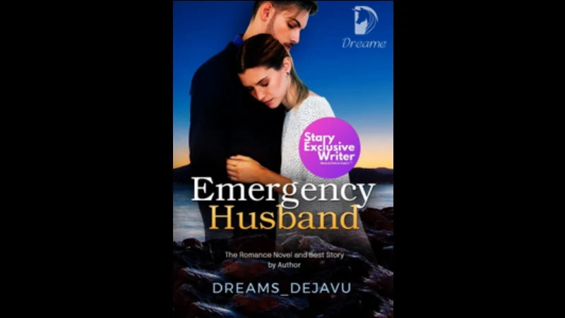 Novel Emergency Husband