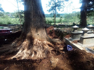 Pengalaman Tukang Gali Kubur