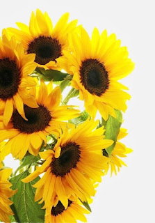Baño con girasoles de Oshun
