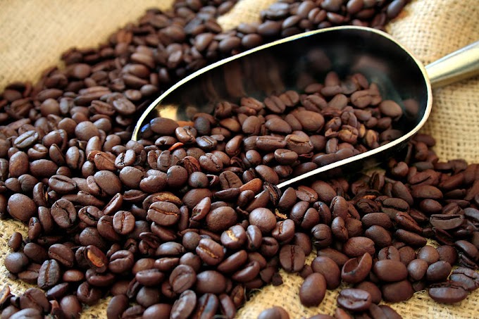 What Are the Benefits of Purchasing Coffee Beans Online?