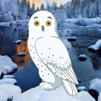 Wow Snow Owl Escape