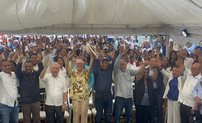 Hipólito estima Abinader ganará elecciones dominicanas con 70%