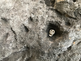 A close up picture of a small ceramic skull (Skulferatu 63) in the stone part of one of the support pillars for the Newhaven Station building.  Photograph by Kevin Nosferatu for the Skulferatu Project