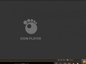 GOM Player Plus 2.3.69.5333 (32-bit) With Patch Free Download