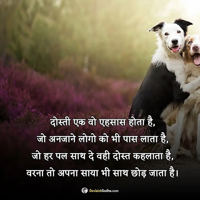 friendship dosti shayari hindi photos and wallpaper, good morning dosti shayari, best friend shayari image, best friend shayari pic, funny dosti shayari images, good night image shayari dosti download, friendship dp shayari, shayari in hindi dosti yaad download image, dosti me dhoka shayari image download, dosti sad shayari image download