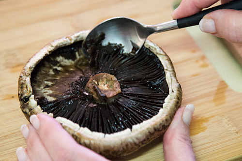 Portobello mushroom supplier in Chandigarh | Mushroom supply | Biobritte mushroom company