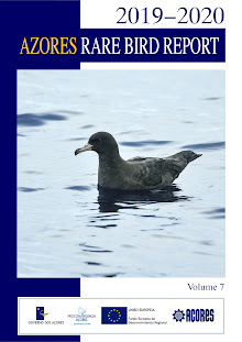 THE AZORES RARE BIRD REPORT 2019 and 2020