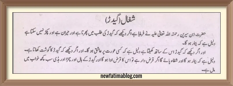 Islamic Dream meaning of jackal, khwab-mein geedar dekhnay ki tabeer.  خواب میں " گیدڑ " دیکھنے کی تعبیر,