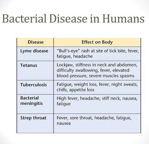 what do you know about diseases caused by bacteria,What are 8 diseases caused by bacteria?,,Diseases caused by virus,Bacterial diseases,Diseases caused by fungi, Bacterial diseases PDF