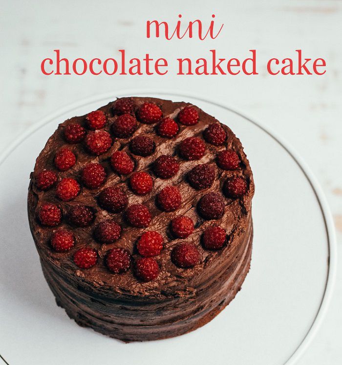 Mini Chocolate Naked Cake Recipe