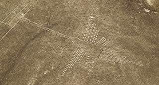 Colibri Nazca