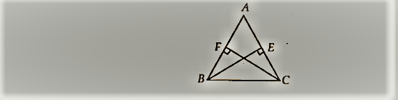 NCERT Solutions for Class 9 Maths Chapter 7 त्रिभुज Ex 7.3 Q4