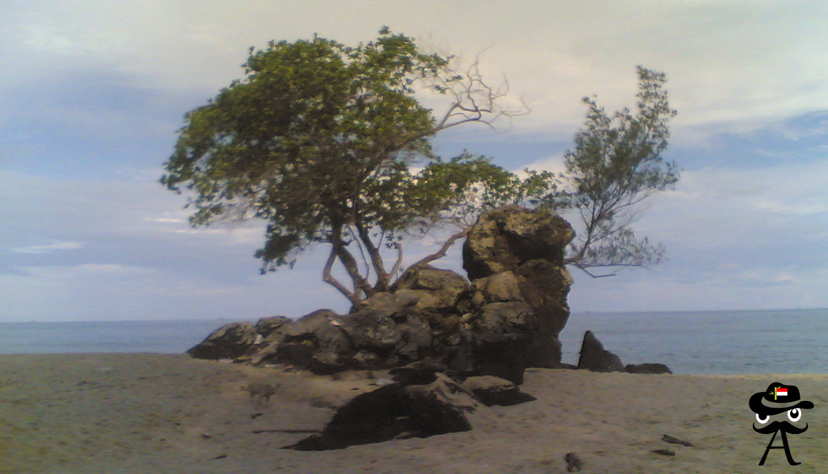 Stone Leaf Beach