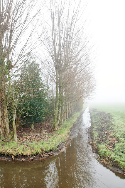 www.jetjesdag.nl | Nicolaas/S fotografie | Mist in De poelpolder in Lisse