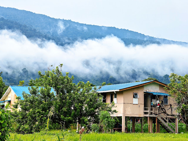 Lundu_Sarawak