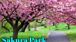 Sakura Park: Keindahan dan Keunikan yang Menakjubkan di Tanah Jepang