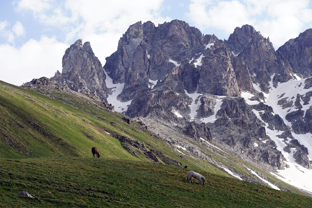 Relacja z wejścia na Tetnuldi (4858m), granią południowo zachodnią. Gruzja. Swanetia. Kaukaz.