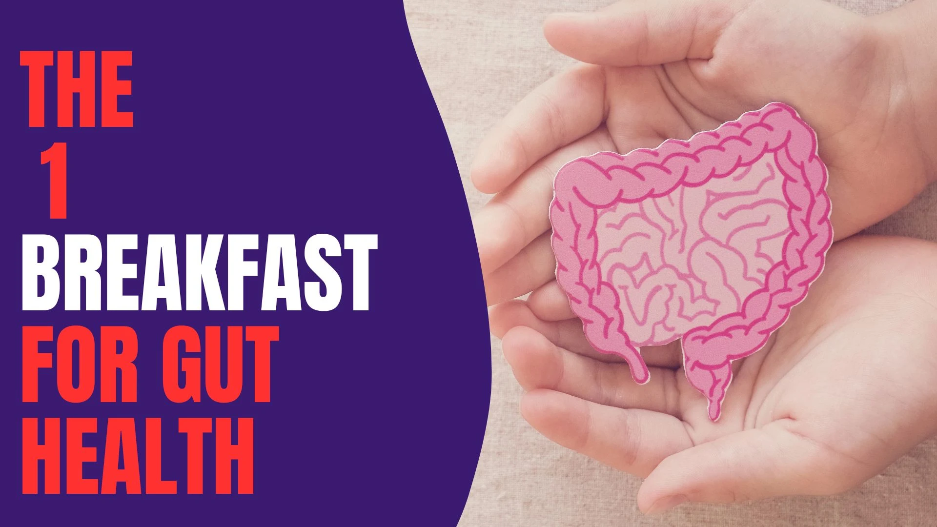 Introducing the #1 Gut Health Breakfast, Backed by Experts