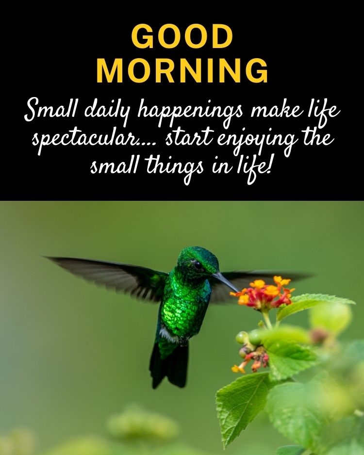 good morning photo my love, good morning photo in english, good morning photo urdu, good morning photo hindi, good morning photo baby