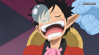 One Piece 第2話 死のキス 四皇暗殺作戦開始 ネタバレ