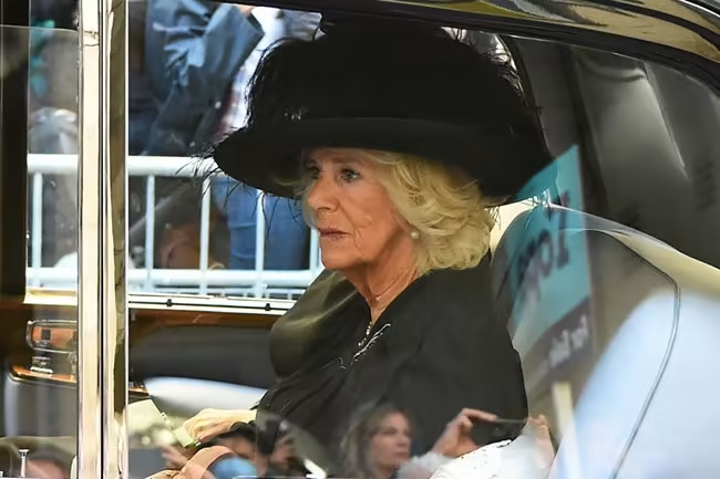 Camilla looked elegant in a feathered hat and black jacket