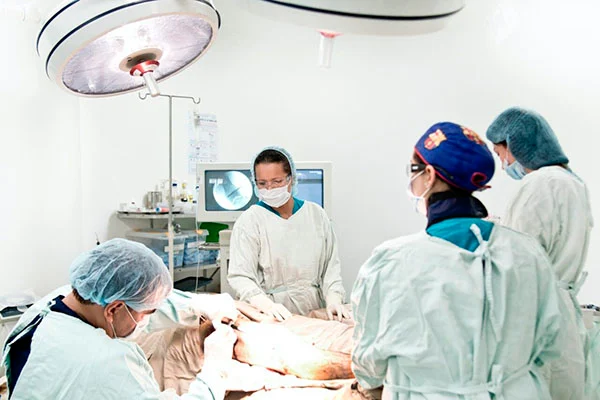 Trasplante-renal-preventivo-mejora-calidad-vida-pacientes